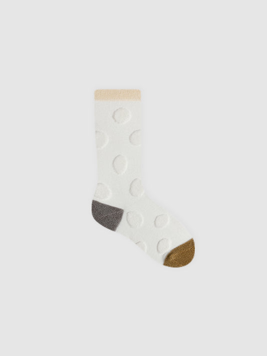 Winterlogue Collections