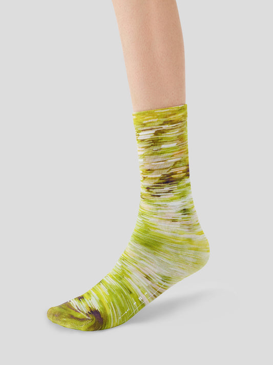 AR × Han Gao Green House Socks Box