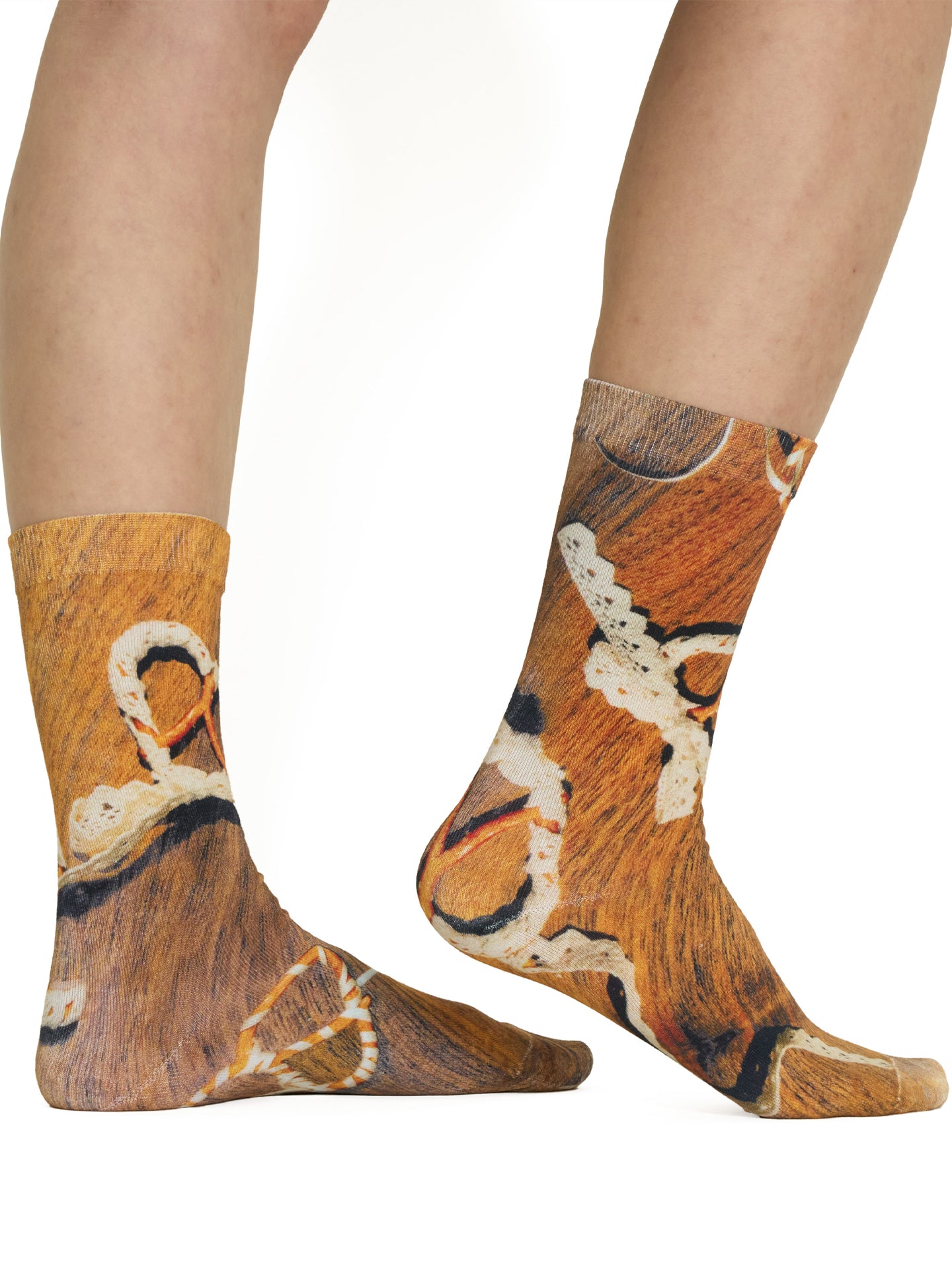 AR×SamePaper Graphic Socks