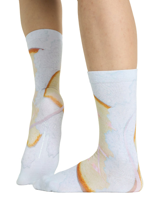 AR×SamePaper Graphic Socks