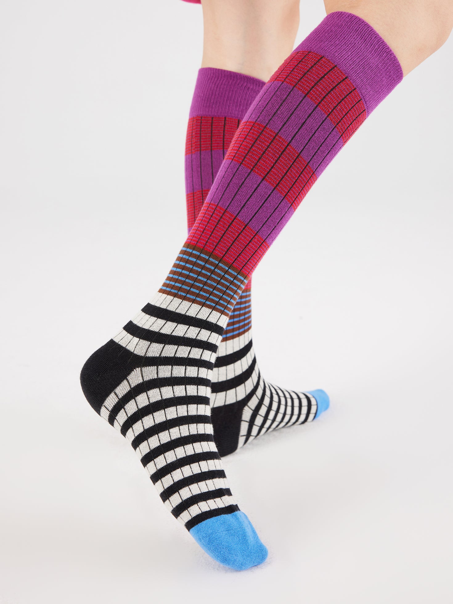 Color Clash Under Knee Sock
