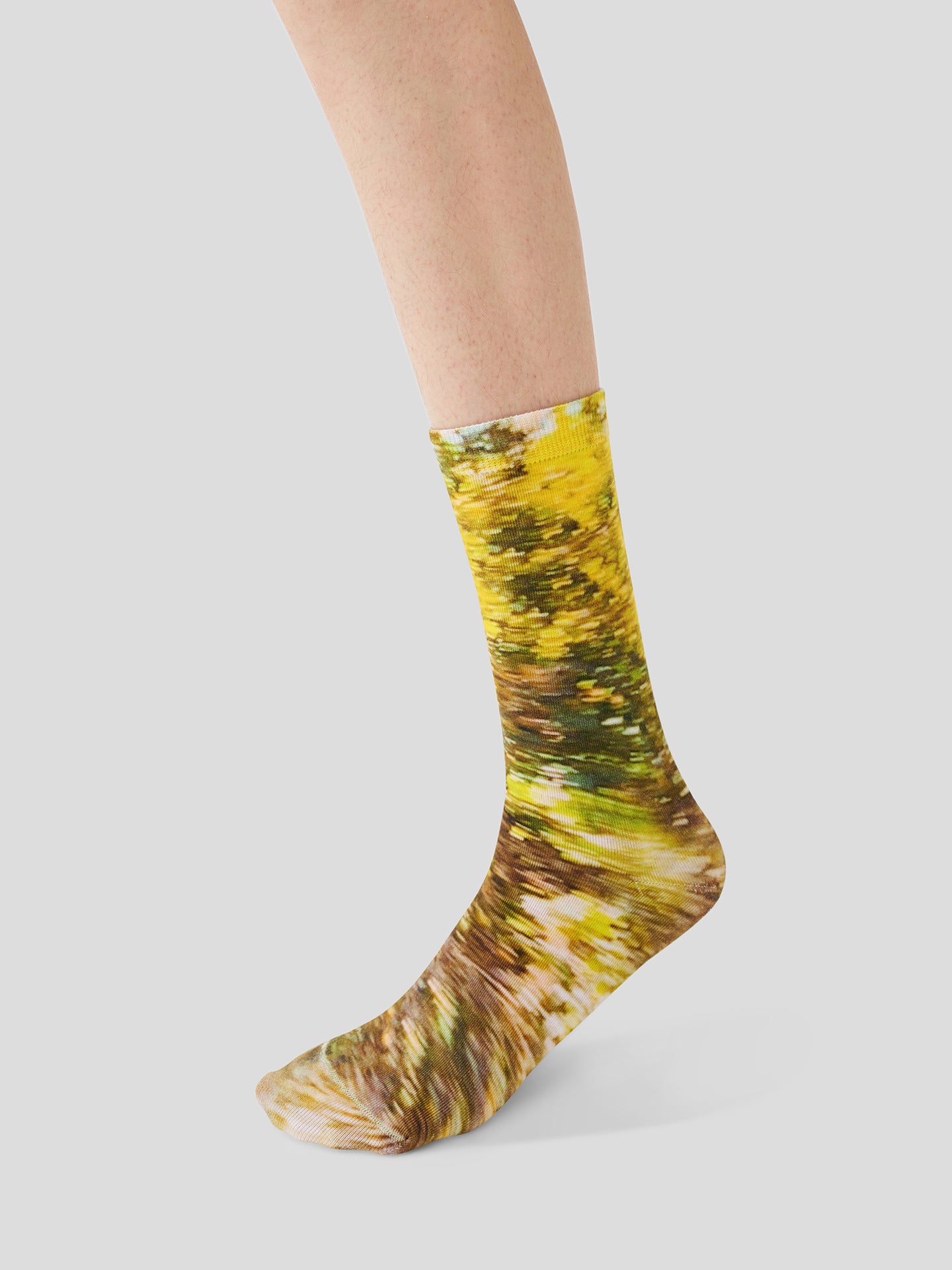 AR × Han Gao Green House Socks Box