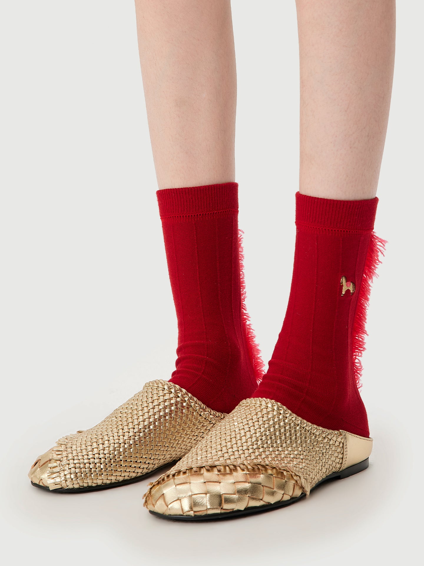 Gallop Victory Collections