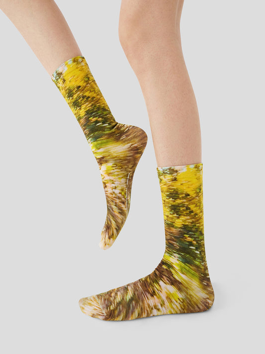 AR × Han Gao Green House Socks Box