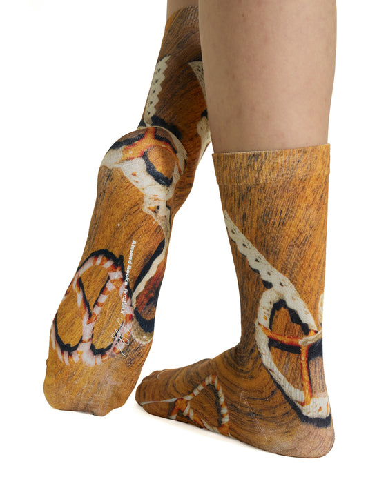 AR×SamePaper Graphic Socks