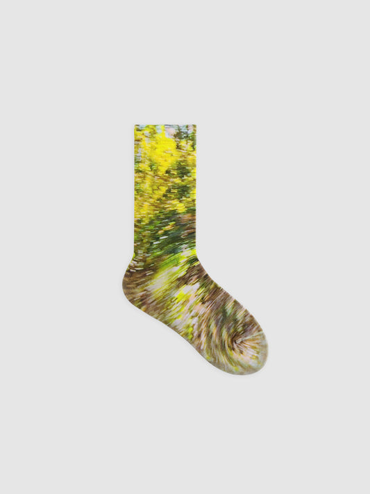AR × Han Gao Green House Socks Box