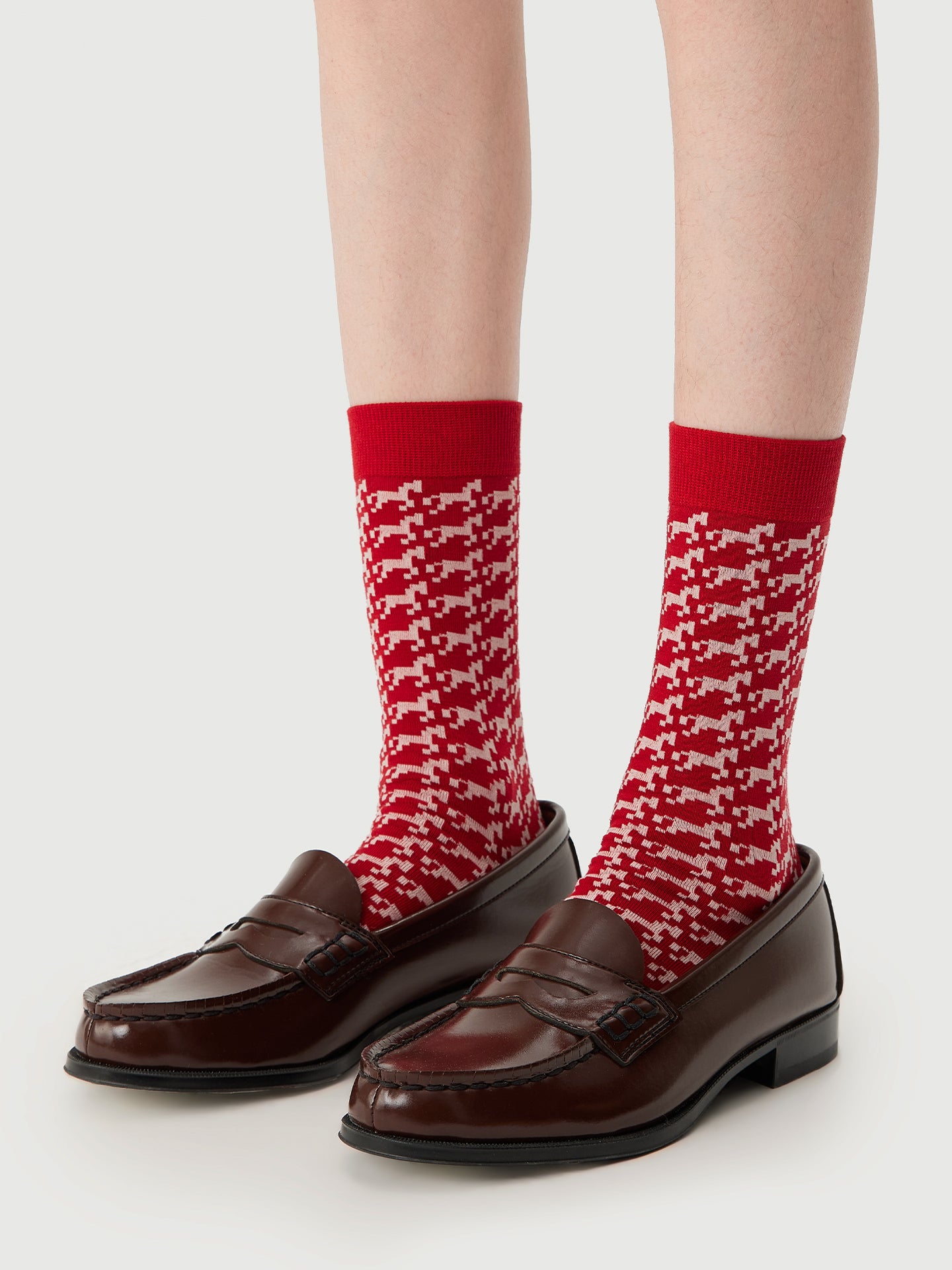 Gallop Victory Collections