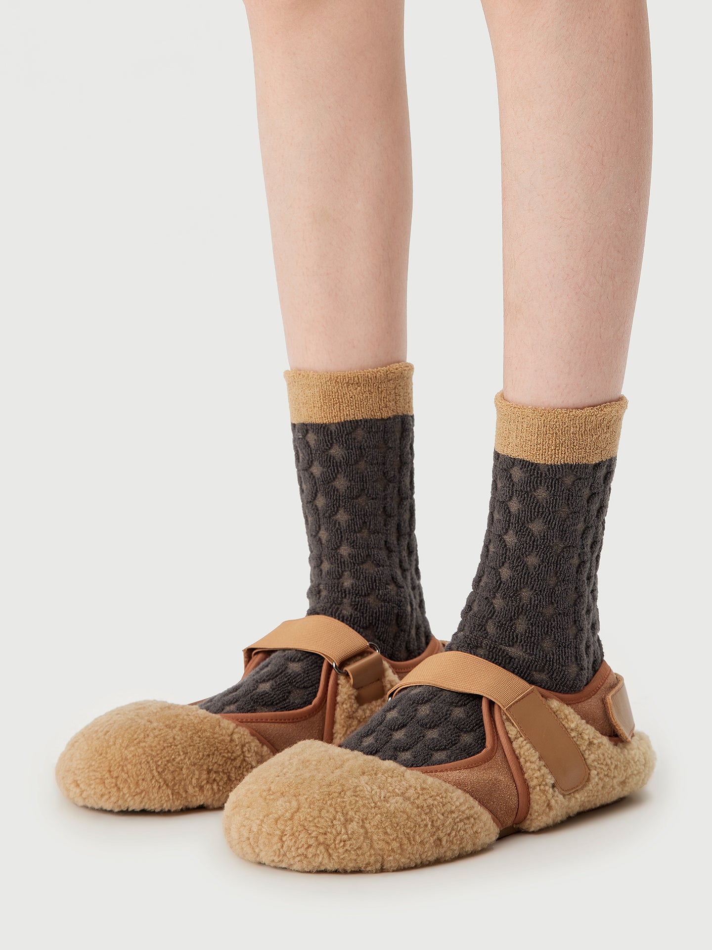 Antique Currency Collections