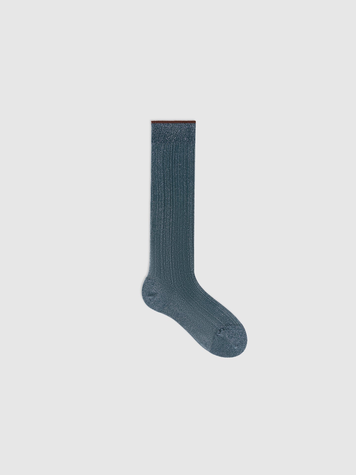 Shiny Ribbed Translucent Calf Sock