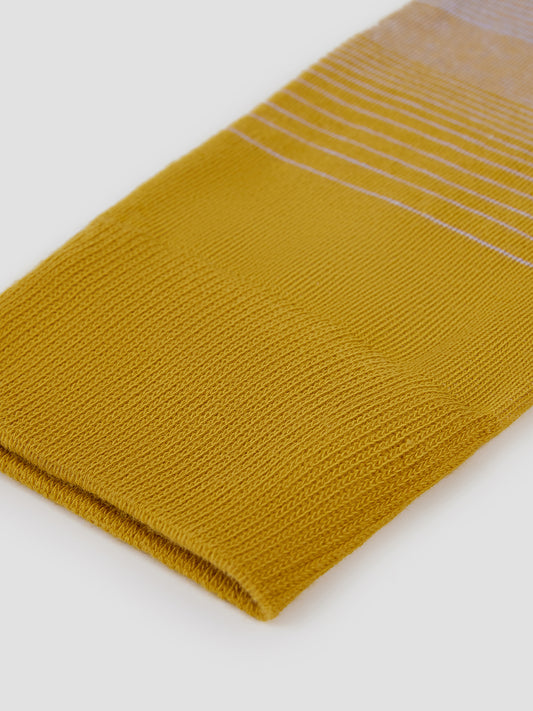 AR × Aranya Edition Split Tone Crew Socks